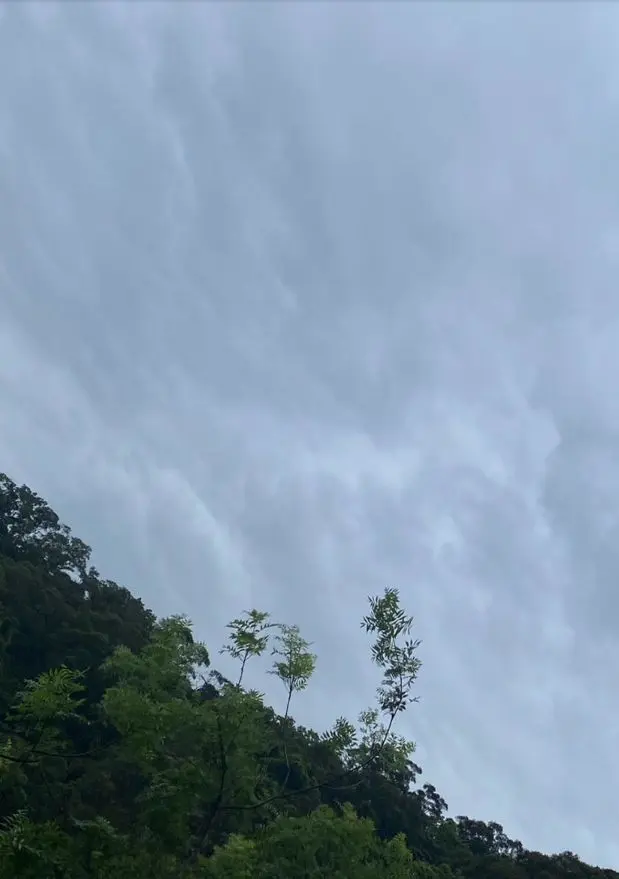 回光靜定法